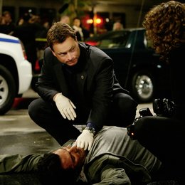 CSI: NY - Season 4.2 Poster