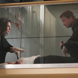 CSI: NY - Season 7.1 Poster