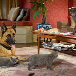 Cats & Dogs - Die Rache der Kitty Kahlohr Poster