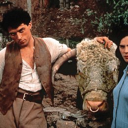 Cold Comfort Farm / Rufus Sewell / Kate Beckinsale Poster