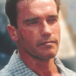 Collateral Damage / Schwarzenegger, Arnold Poster
