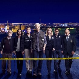 CSI: Vegas / Marg Helgenberger / Ted Danson / Robert David Hall / Paul Guilfoyle / Jorja Fox / George Eads / Eric Szmanda Poster