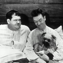 Dick & Doof - Highlights / allehundeliebenstan / Oliver Hardy / Stan Laurel Poster