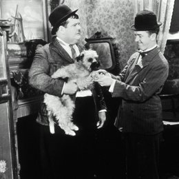 Dick & Doof - Highlights / allehundeliebenstan / Oliver Hardy / Stan Laurel Poster