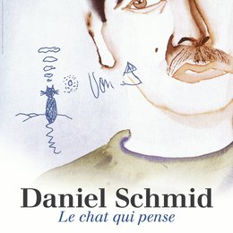 Daniel Schmid - Le chat qui pense Poster