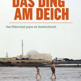 Ding am Deich - Vom Widerstand gegen ein Atomkraftwerk, Das Poster