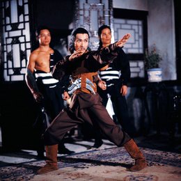 Grabmal des Shaolin, Das Poster