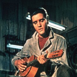 Lied des Rebellen, Das / Elvis Presley Poster