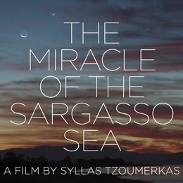 Wunder im Meer von Sargasso, Das Poster