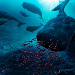 Deep Ocean - Atemberaubende Reise in die faszinierenden Tiefen des Meeres Poster