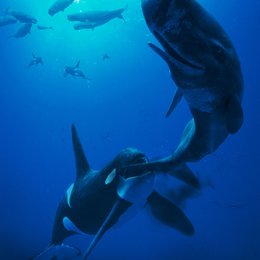 Deep Ocean - Atemberaubende Reise in die faszinierenden Tiefen des Meeres Poster