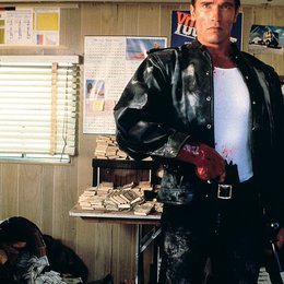 City Hai, Der / City- Hai, Der / Arnold Schwarzenegger / Raw Deal Poster