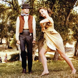 goldene Regenbogen, Der / Fred Astaire Poster