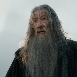 Hobbit: Die Schlacht der fünf Heere, Der Poster