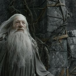 Hobbit: Smaugs Einöde, Der / Sir Ian McKellen Poster