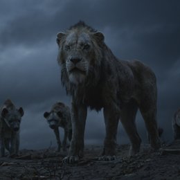 König der Löwen, Der Poster