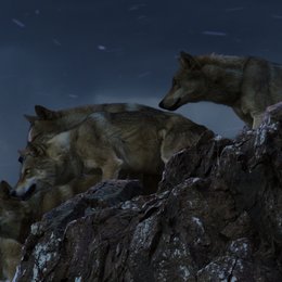 letzte Wolf, Der Poster