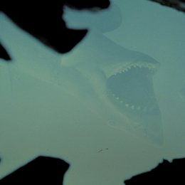 weiße Hai, Der Poster