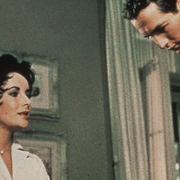Katze auf dem heißen Blechdach, Die / Elizabeth Taylor / Paul Newman Poster