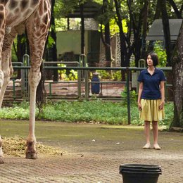 Nacht der Giraffe, Die / Postcards From The Zoo / Kebun binatang / Ladya Cheryll Poster