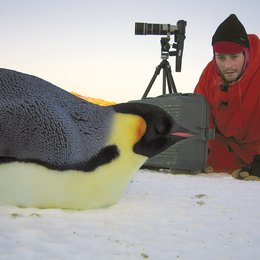 Reise der Pinguine, Die - beim Dreh / Luc Jacquet Poster