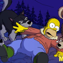 Simpsons - Der Film, Die Poster
