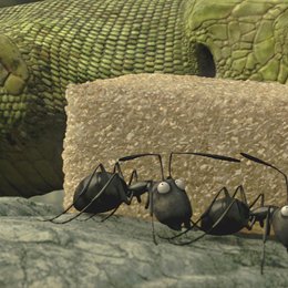 Winzlinge - Operation Zuckerdose, Die / Minuscule - La vallée des fourmis perdues Poster