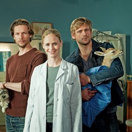Doc meets Dorf (RTL) / Doc meets Dorf (1. Staffel, 8 Folgen) / Inez Bjørg David / Bert Tischendorf / Steve Windolf Poster