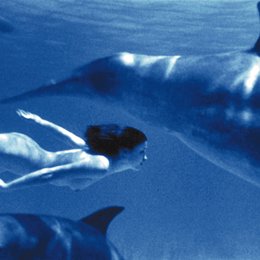 Dolphins / Julia Brendler Poster