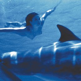 Dolphins / Julia Brendler Poster