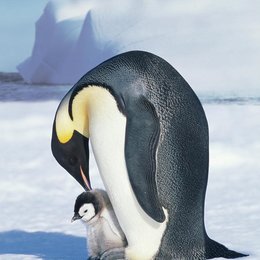 lange Marsch der Pinguine, Der Poster