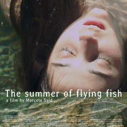 verano de los peces voladores - Der Sommer der fliegenden Fische, El / verano de los peces voladores, El Poster