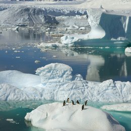 Frozen Planet - Eisige Welten, Die komplette ungekürzte Serie Poster