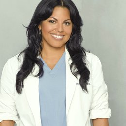 Grey's Anatomy - Die jungen Ärzte (5. Staffel) / Sara Ramirez Poster