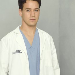 Grey's Anatomy - Die jungen Ärzte (5. Staffel) / T.R. Knight Poster