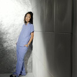 Grey's Anatomy - Die jungen Ärzte (06. Staffel, 24 Folgen) / Sandra Oh Poster
