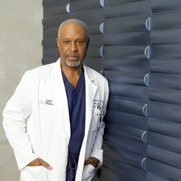 Grey's Anatomy - Die jungen Ärzte (06. Staffel, 24 Folgen) / James Pickens Jr. Poster