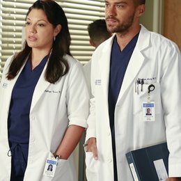 Grey's Anatomy - Die jungen Ärzte (09. Staffel, 24 Folgen) Poster