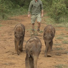 Hannes Jaenicke: Im Einsatz für Elefanten (ZDF) Poster