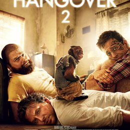 Hangover 2 Poster
