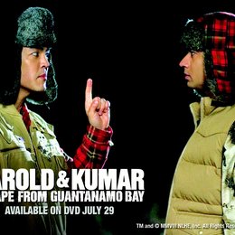 Harold & Kumar 2 - Flucht aus Guantanamo Poster