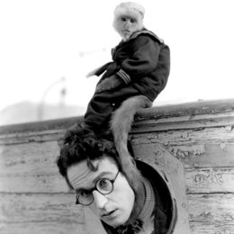 Harold Lloyd - The Collection / thekidbrother Poster
