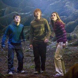 Harry Potter und der Orden des Phönix / Harry Potter und der Orden des Phoenix / Daniel Radcliffe / Rupert Grint / Emma Watson Poster