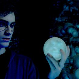 Harry Potter und der Orden des Phönix / Harry Potter und der Orden des Phoenix / Daniel Radcliffe Poster