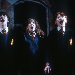 Harry Potter und der Stein der Weisen / Daniel Radcliffe / Emma Watson / Rupert Grint Poster