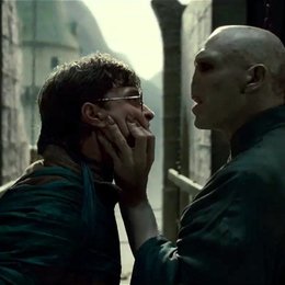 Harry Potter und die Heiligtümer des Todes Teil 1 / Daniel Radcliffe / Ralph Fiennes Poster