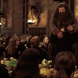 Harry Potter und die Kammer des Schreckens / Robbie Coltrane "Hadrid" / Daniel Radcliffe "Harry Potter" Poster