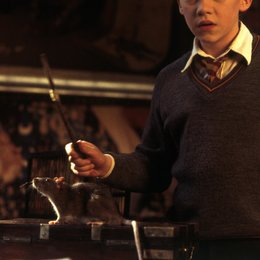 Harry Potter und die Kammer des Schreckens / Rupert Grint "Ron Weasley" Poster