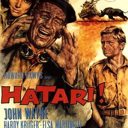 Hatari Poster