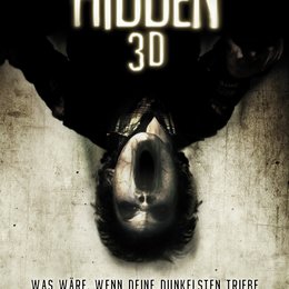 Hidden 3D Poster